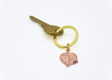 Praktická ukázka klíčenky