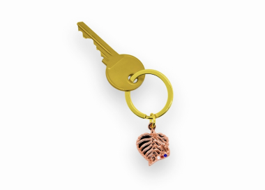 Klíčenka v detailu na klíčích