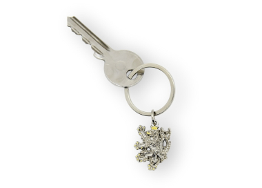 Praktická ukázka klíčenky