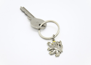 Ukázka klíčenky při používání