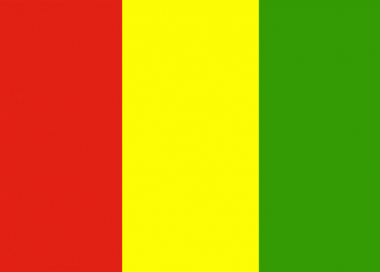 Státní vlajka Guinea tištěná venkovní