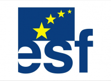 Tištěná vlajka ESF 