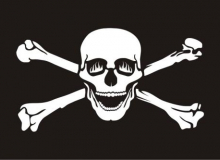 Tištěná pirátská vlajka (Jolly Roger)