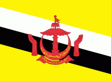 Státní vlajka Brunej tištěná venkovní