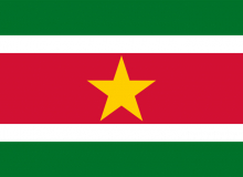 Státní vlajka Surinam tištěná venkovní